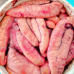 ইলিশ মাছের ডিম (৩) কেজি = ২১০০ ৳