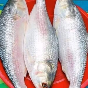 ৬ পিস মাছে ৫ কেজি = ২০০০ টাকা